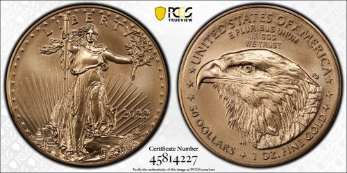 2022 W PCGS/SP69 Burnished American Gold Eagle