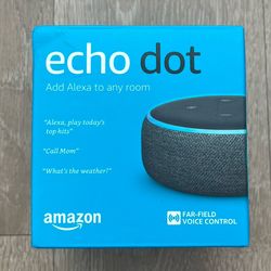 MTV Branded Echo Dot