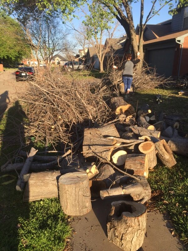 Free Firewood For Sale In Arlington Tx Offerup