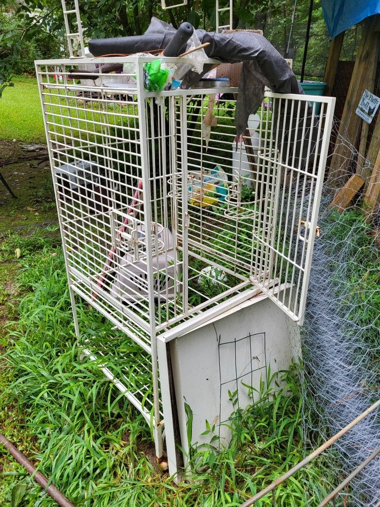 Metal Bird Cage