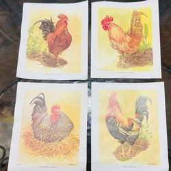 4 Vintage Lithograph Art Prints Of Roosters/ Chickens By T.G Phillips 12” x 10”