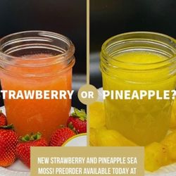 Sea moss ( Primo Sea moss)