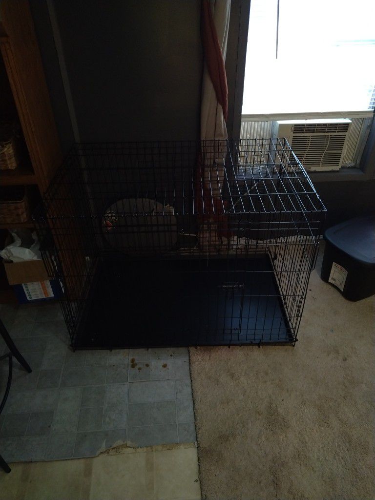 Dog Crate With Divider For Two Dogs Has Two Doors