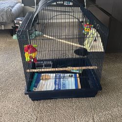 Bird Cage