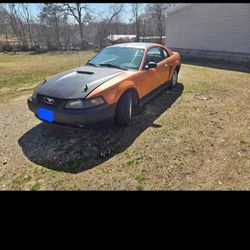 1999 Ford Mustang