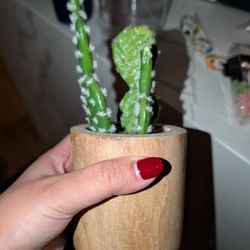 Fake Cactus