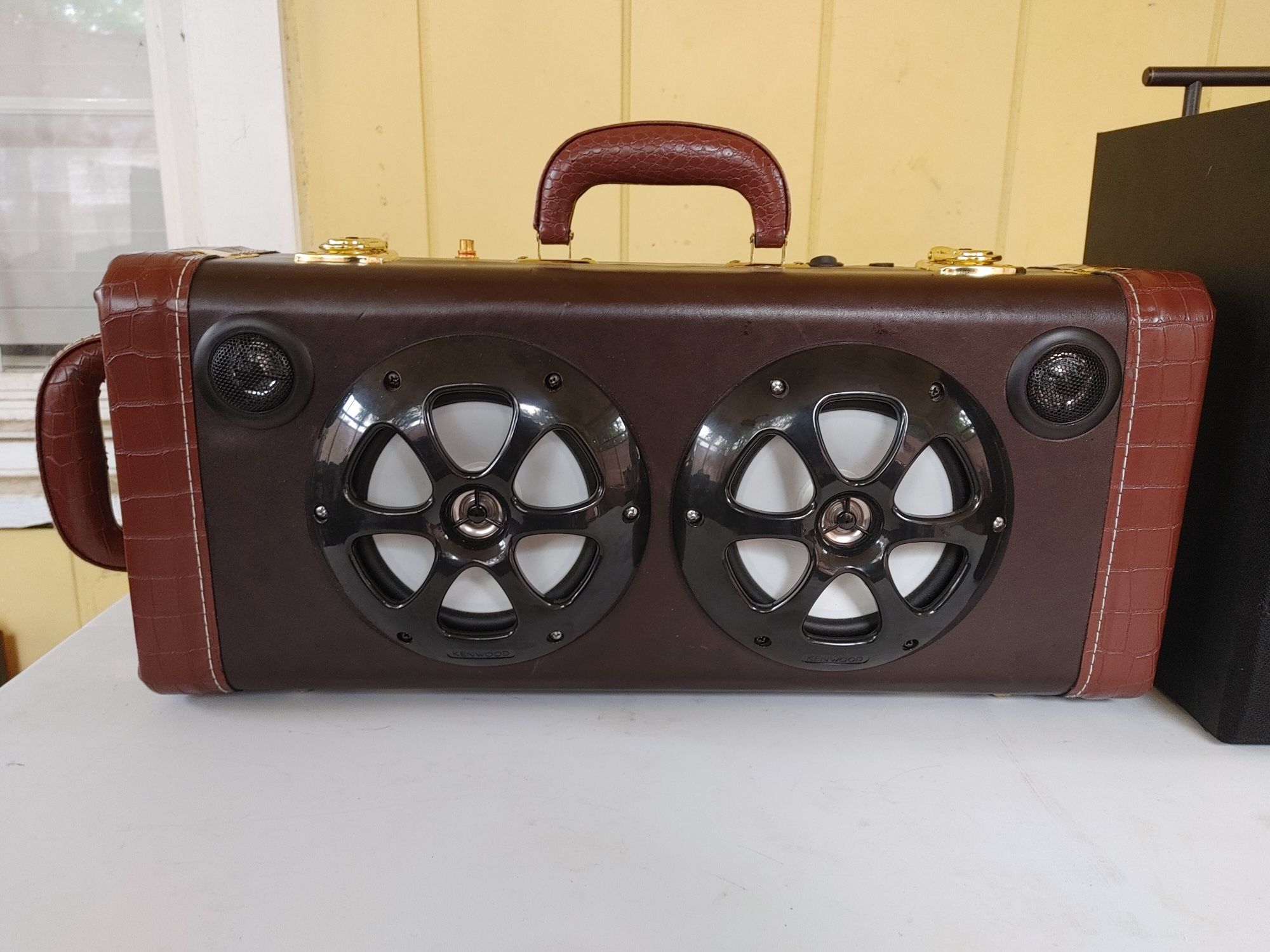 Trumpet Case Bluetooth Speaker and Subwoofer
