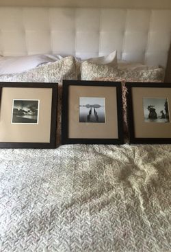 Gently used frames. In excellent condition.