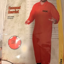 Prisoner Halloween Costume