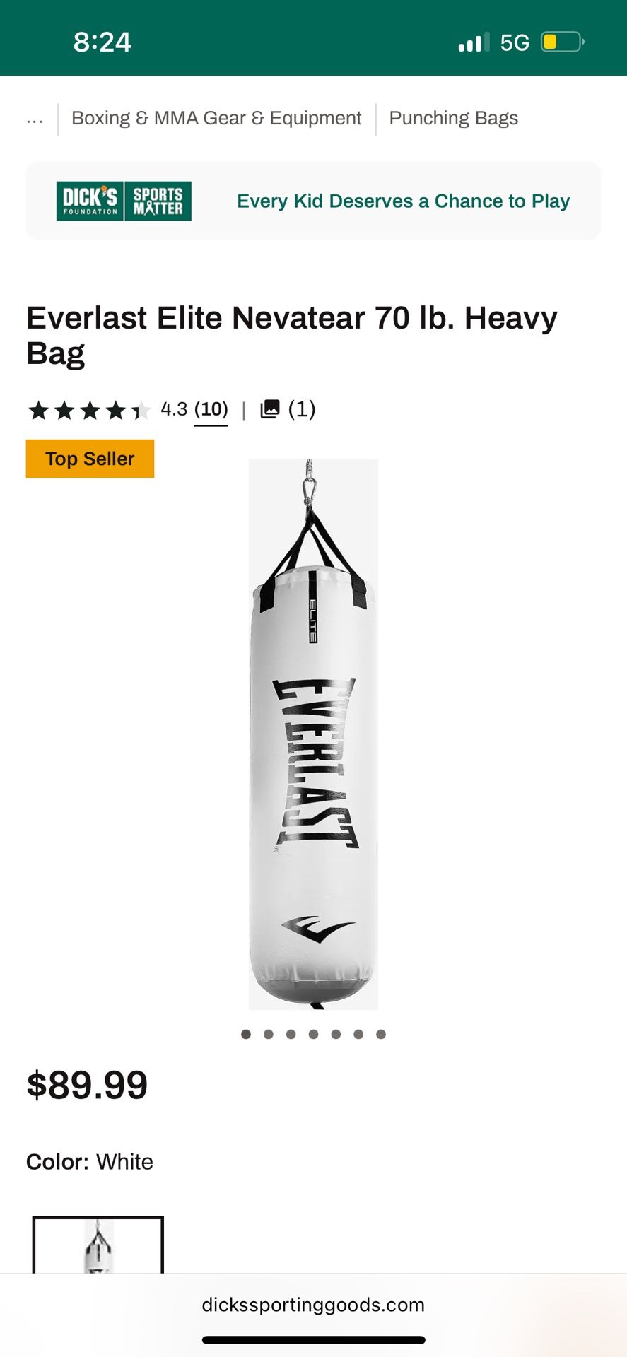 Everlast Punching Bag 