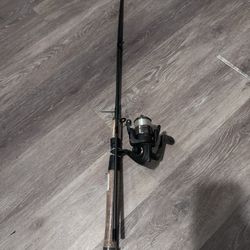 New Fishing Poles