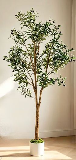 6' Artificial Indoor Olive Tree in White Planter - Realistic Silk Leaves, Branches and Fruits.
