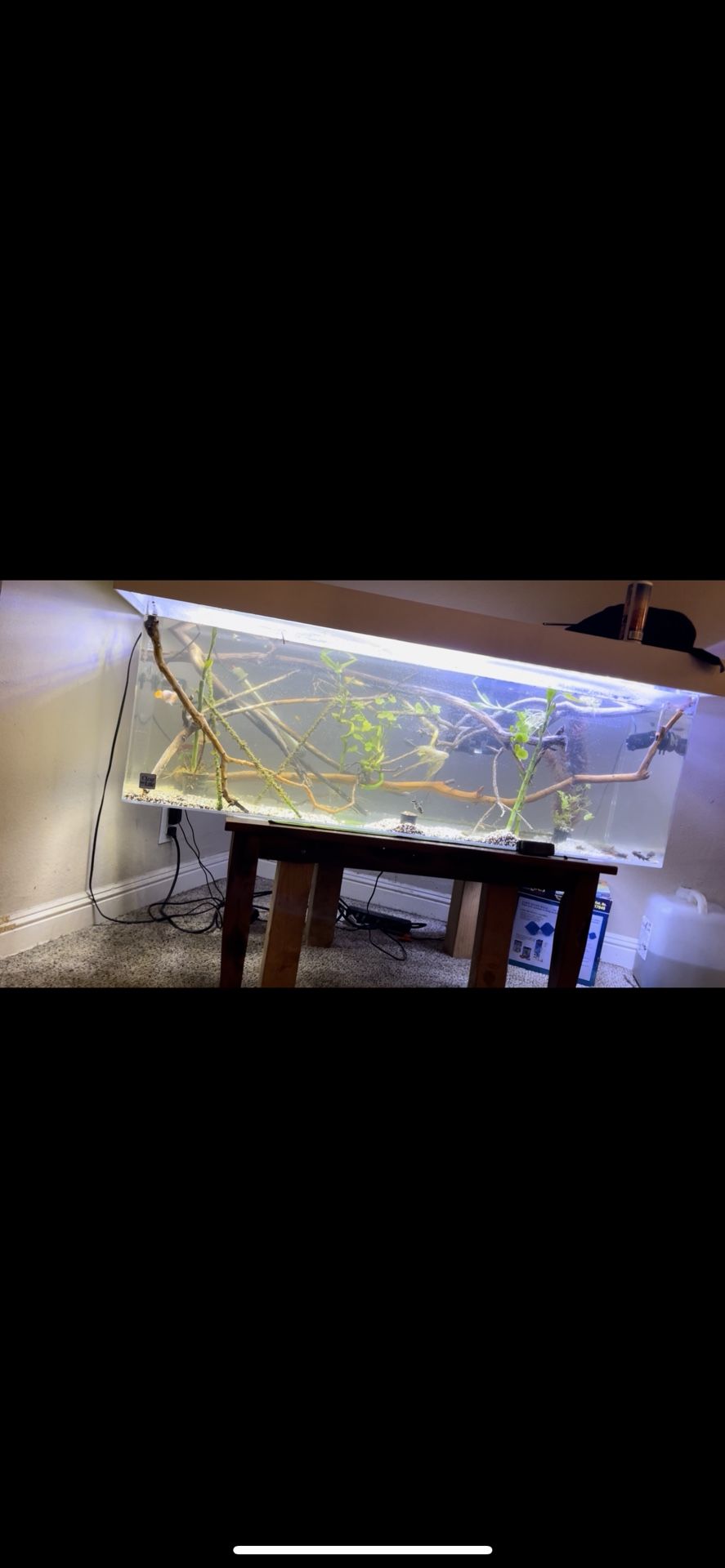 Acrylic Aquariums Fish Tanks