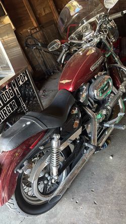 Red.  xL1200 Harley Davidson 2008