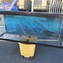 55 Gallon Aquarium + 3 FREE Decorations 