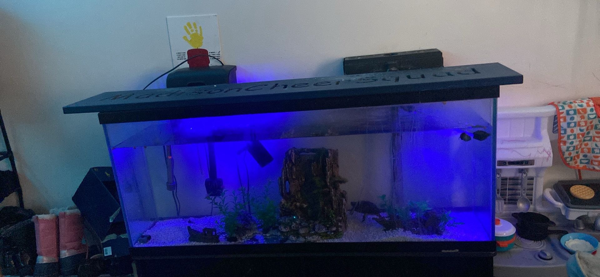 Fish Tank