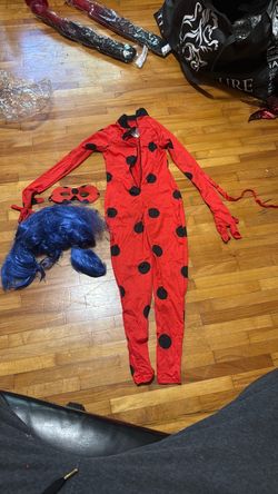 Ladybug Costume Set with Wig and Mask