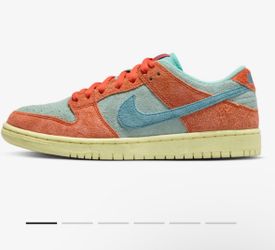 Nike SB DunkEmerald Rise 9.5