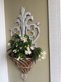Wall Mounted Plant Hanger