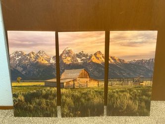 12x24 Large 3 piece wall canvas