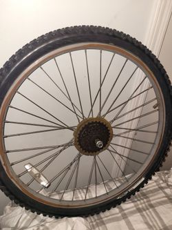 Bike Tire Rear