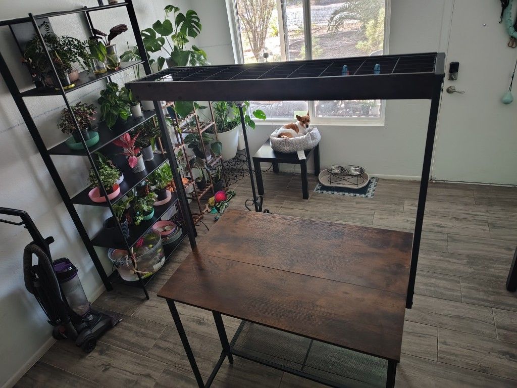 Extra Space, Plant Stand