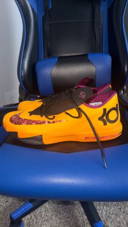 KD 6s pbj.    Size 12.5