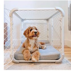 Dog Crate 