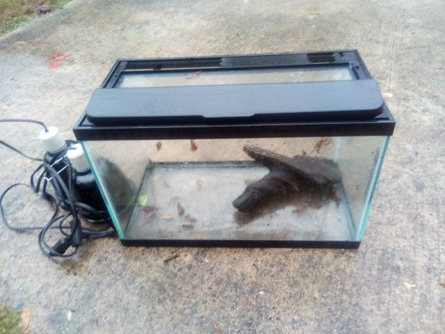 10 Gallon Aquarium Reptile Lite Drift Wood
