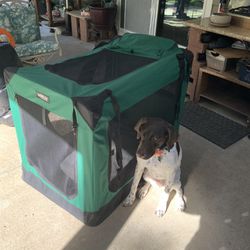 X-Large Folding Dog Crate