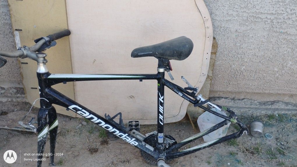 Bike Cannondale