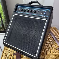 Acoustic AG15 Acoustic Guitar Wedge Amplifier