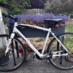 Diamond Back Bicycle