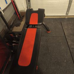 Bowflex 5.1 FID Adjustable Bench