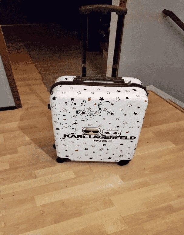 level movie Travel Effortlessly with Robust Checked Luggage!