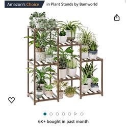 In Plant 🪴 Stand By Bamworld Nuevo Armado 