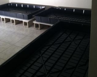 Hydroponic 4x8 grow trays