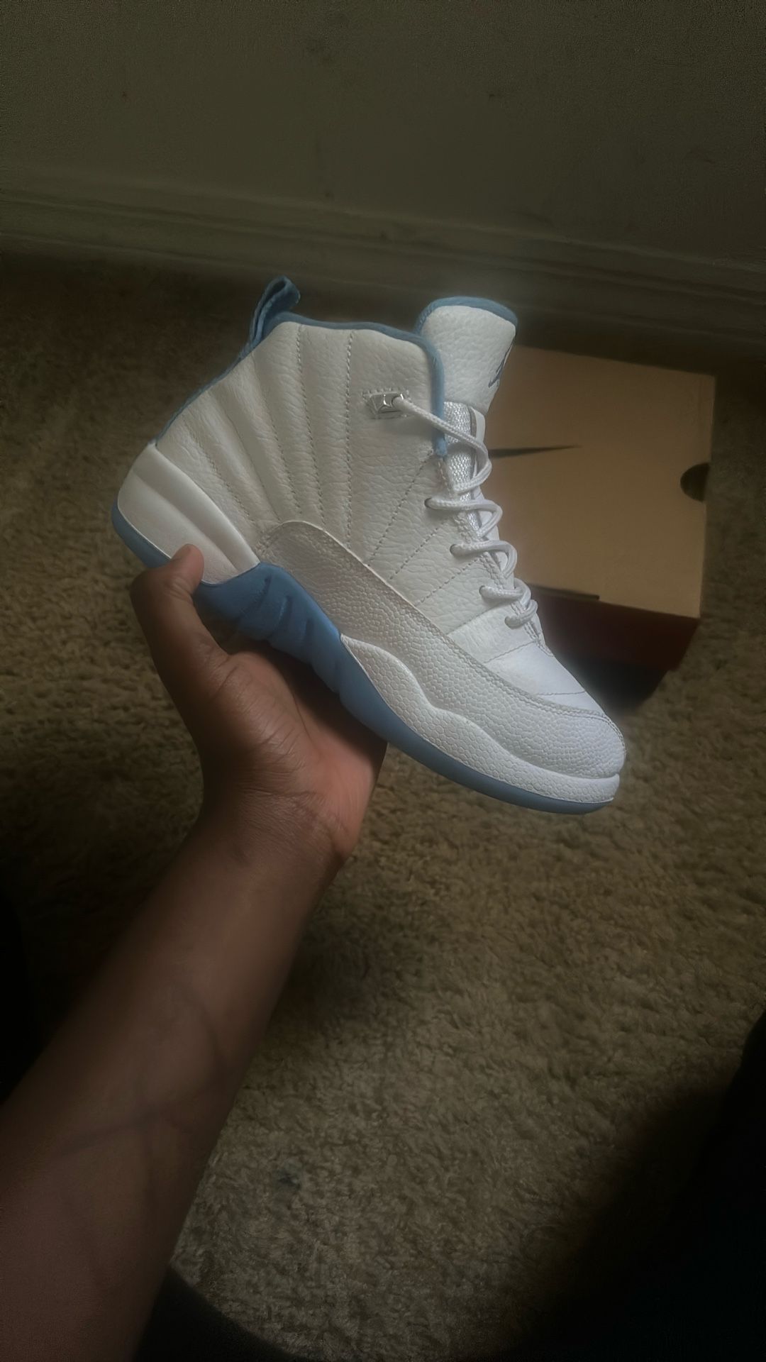 Jordan 12s