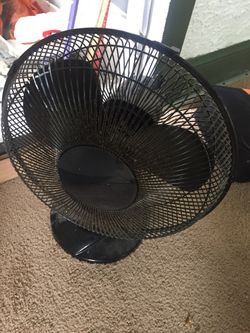 Fan