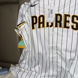 Padres Jersey MLB