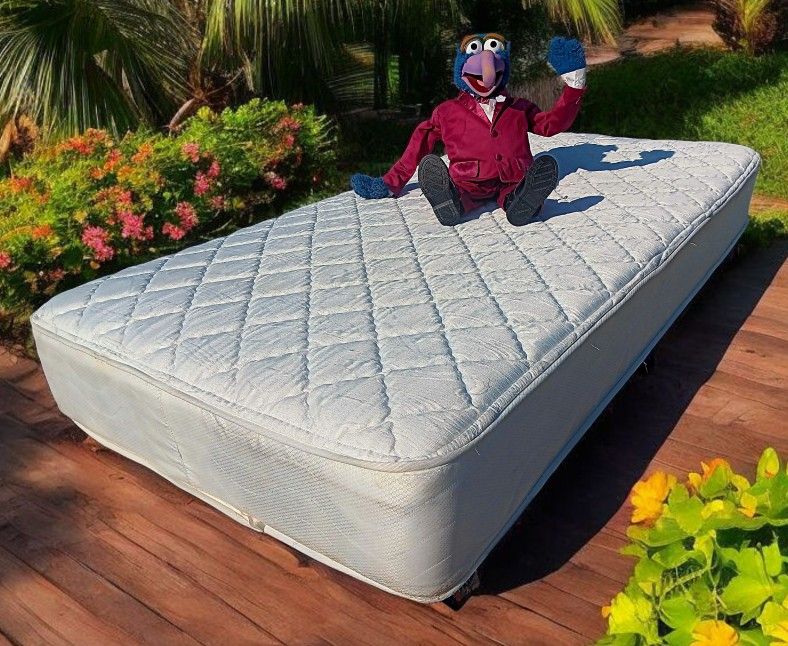 Nice Firm Feel Twin Size Mattress