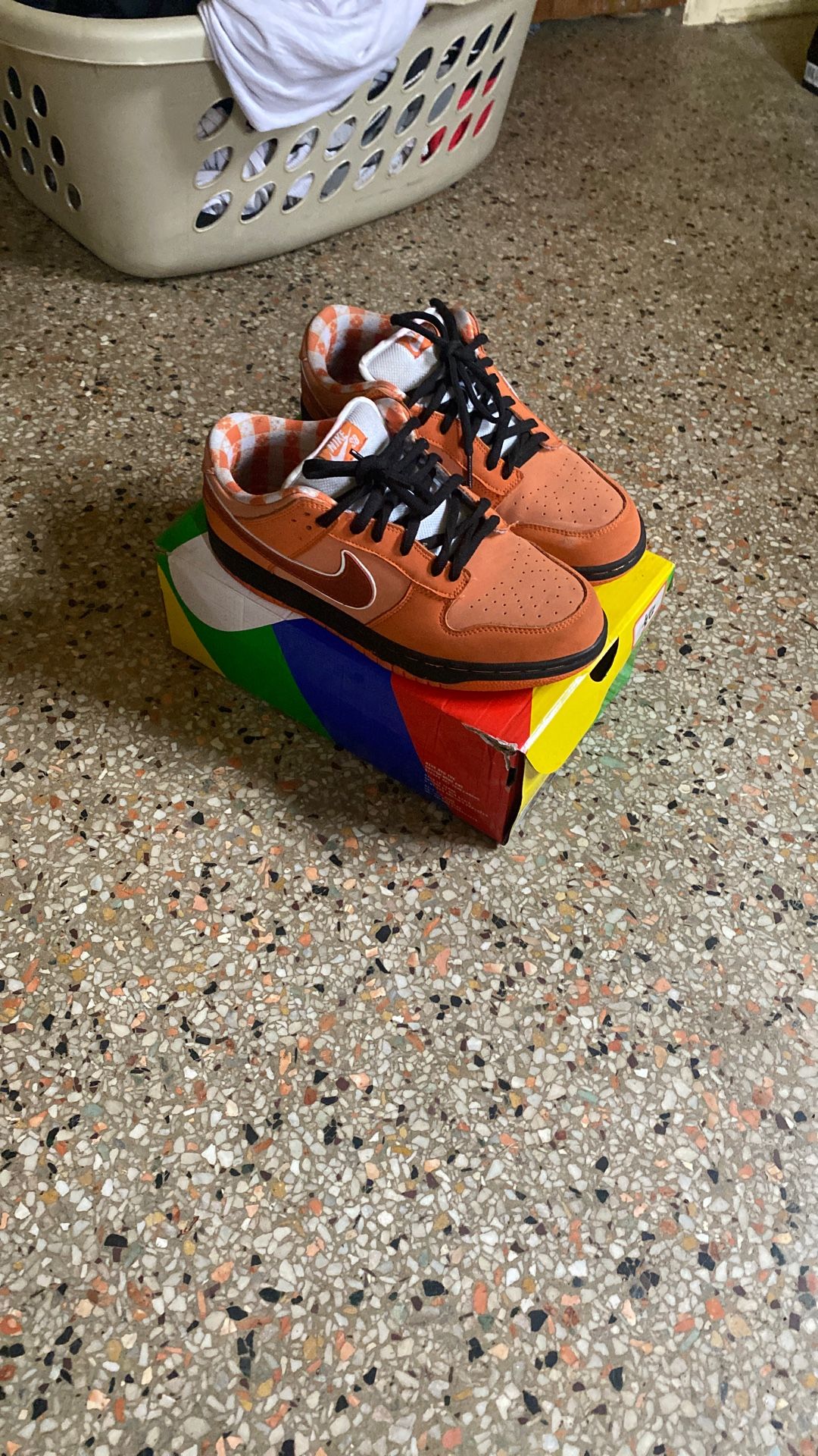 Nike dunks worn twice 90$