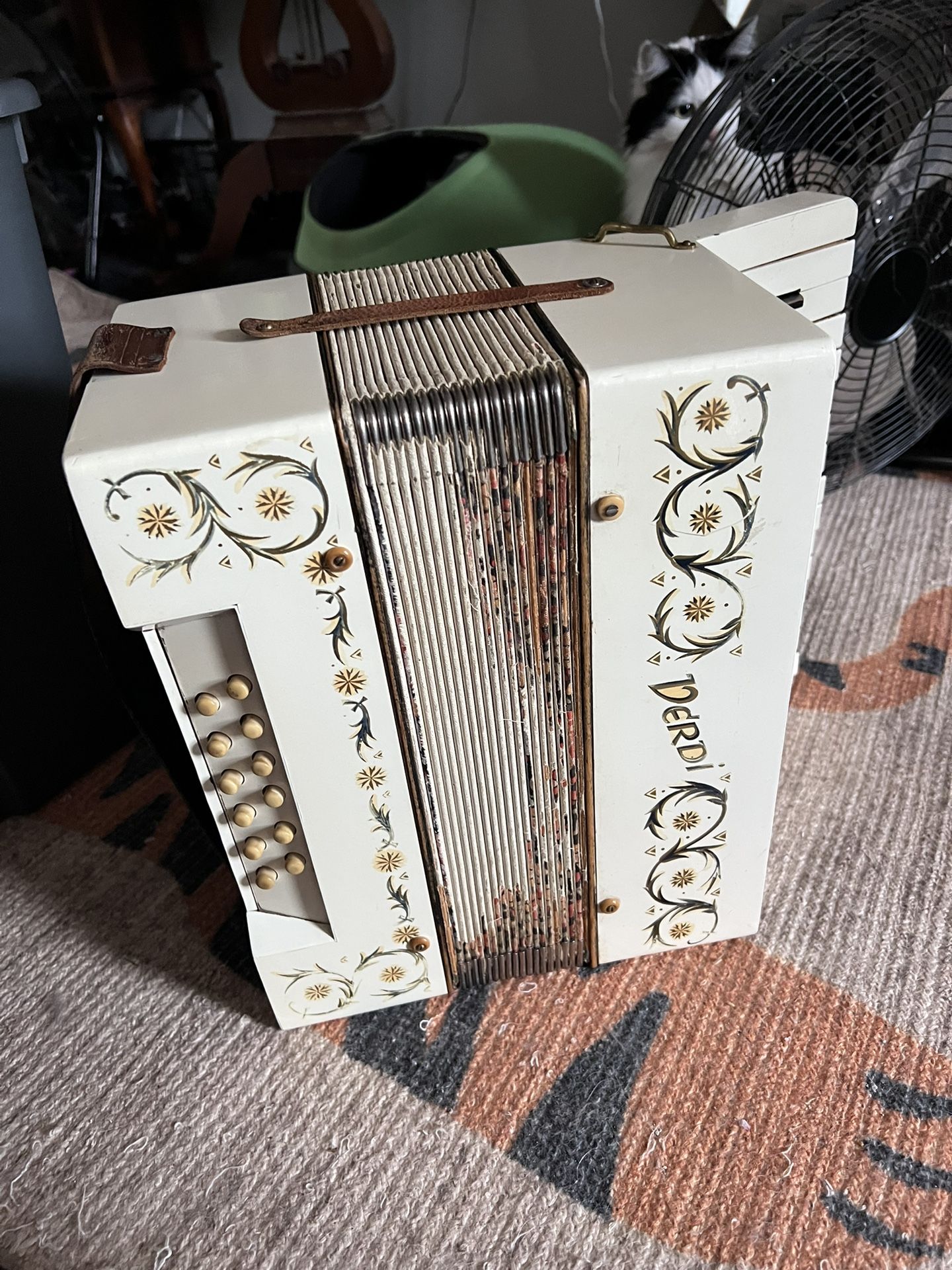 Vintage Derdi Accordion 