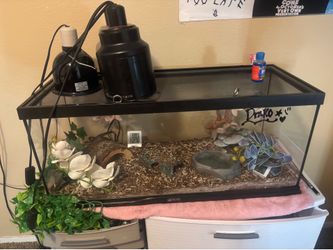 Snake heater and glass cage