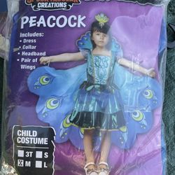 Disfras Para Nina Para 3 Años 