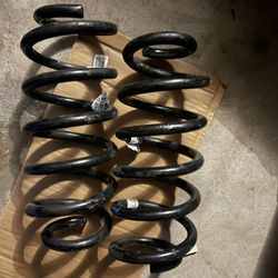 11th Gen Civic SI (2023) Rear Springs