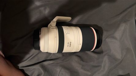 Canon rf 100-500mm f/4.5-7.1l is usm