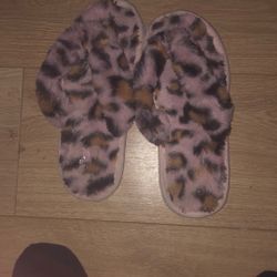 Furry Slides 
