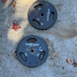 Two 25 Pound Weights!