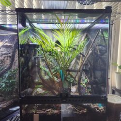 18x18x24 Exo Terra Reptile Tank 